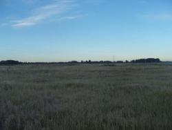 post-27127-0-68435900-1410093401_thumb.j