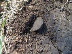 post-27127-0-90464800-1410094349_thumb.j