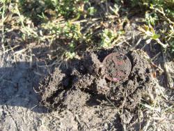 post-27127-0-94159800-1410093693_thumb.j