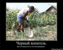 post-27784-0-69538400-1409818017_thumb.j