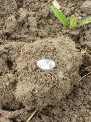 post-27784-0-87014200-1409595171_thumb.j