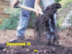 post-27784-0-94962500-1409815106_thumb.j