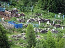 post-29383-0-79527700-1410319746_thumb.j