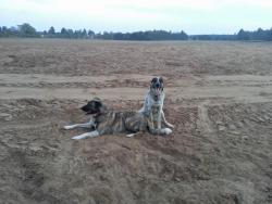 post-29721-0-28011300-1410652876_thumb.j