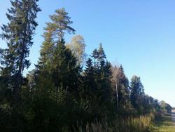 post-29721-0-89883800-1410897473_thumb.j