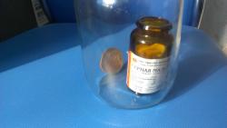 post-31186-0-13488900-1411031620_thumb.j