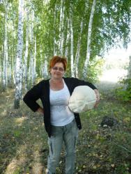 post-31382-0-26996700-1411368213_thumb.j