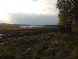 post-31515-0-14207100-1410768100_thumb.j