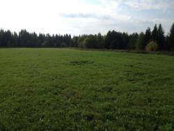 post-31515-0-40863500-1410767295_thumb.j