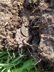 post-31515-0-44874600-1410767395_thumb.j