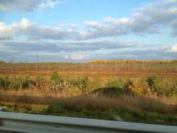 post-31515-0-53156500-1410768467_thumb.j