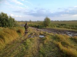 post-31515-0-55725200-1410768026_thumb.j