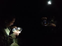 post-31515-0-72335600-1410768251_thumb.j