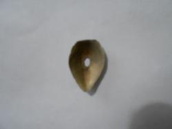 post-31877-0-40389000-1411364861_thumb.j