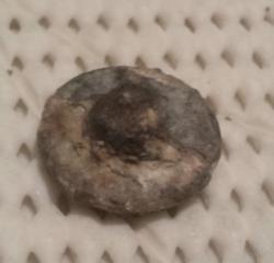 post-31912-0-46810000-1410125217_thumb.j