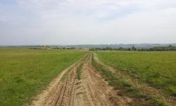 post-31922-0-36094500-1410627265_thumb.j