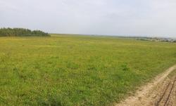 post-31922-0-63671500-1410627271_thumb.j