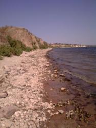 post-31934-0-19222800-1409901787_thumb.j