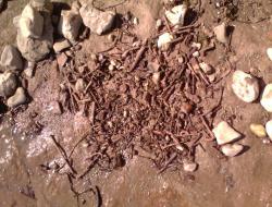 post-31934-0-26450800-1409902007_thumb.j