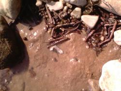 post-31934-0-64564000-1409901845_thumb.j