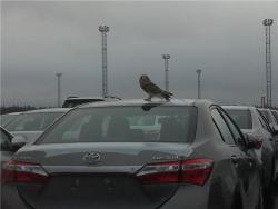 post-32010-0-32298400-1409772883_thumb.j