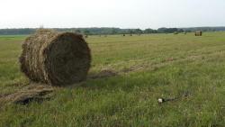 post-32082-0-86071300-1411661941_thumb.j