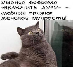 post-4485-0-28926200-1409588343_thumb.jp