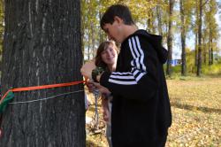 post-4485-0-93623600-1411661119_thumb.jp