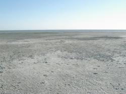 post-6890-0-20933300-1411062103_thumb.jp