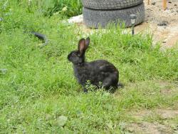 post-8095-0-04185200-1411751343_thumb.jp