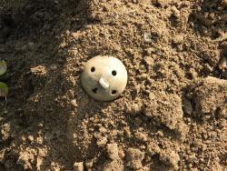 post-8095-0-12474500-1411357556_thumb.jp