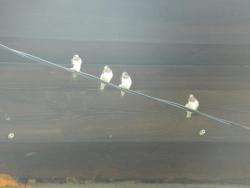 post-8095-0-26345600-1411751433_thumb.jp