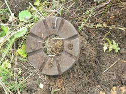 post-8095-0-96342700-1411357779_thumb.jp