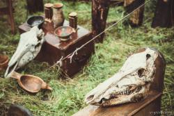 post-8735-0-96126200-1410858386_thumb.jp