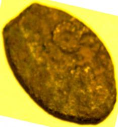 post-9392-0-16985900-1410710989_thumb.jp