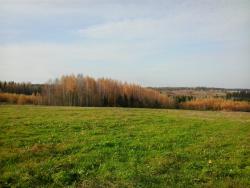 post-14486-0-37204000-1443170032_thumb.j