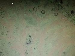 post-20911-0-99121500-1441376688_thumb.j