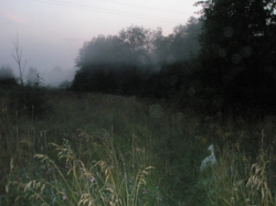 post-26744-0-08434000-1443526811_thumb.p