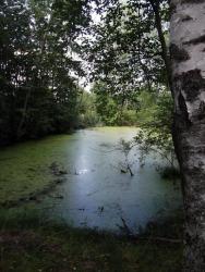 post-26744-0-11539500-1443510939_thumb.j