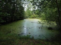 post-26744-0-16269600-1443510970_thumb.j