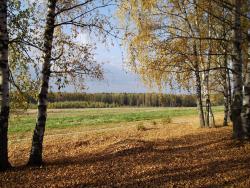 post-26744-0-36390600-1443511132_thumb.j