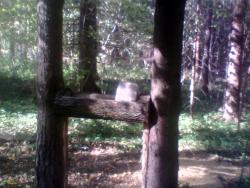 post-26744-0-42701700-1443530362_thumb.j