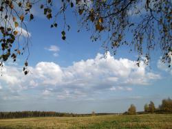 post-26744-0-66310800-1443508267_thumb.j