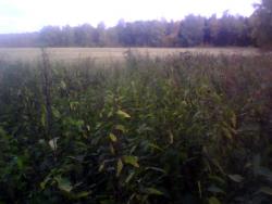 post-26744-0-67478600-1442095196_thumb.j