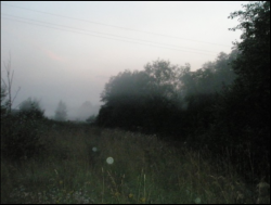 post-26744-0-78218900-1443526991_thumb.p