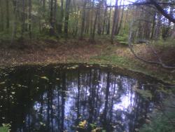 post-26744-0-90658400-1442094488_thumb.j