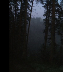 post-26744-0-93024800-1443526941_thumb.p