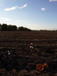 post-27784-0-08722300-1442134509_thumb.j