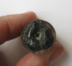 post-28718-0-37098600-1441646986_thumb.j