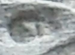 post-3025-0-49438300-1442311733_thumb.jp